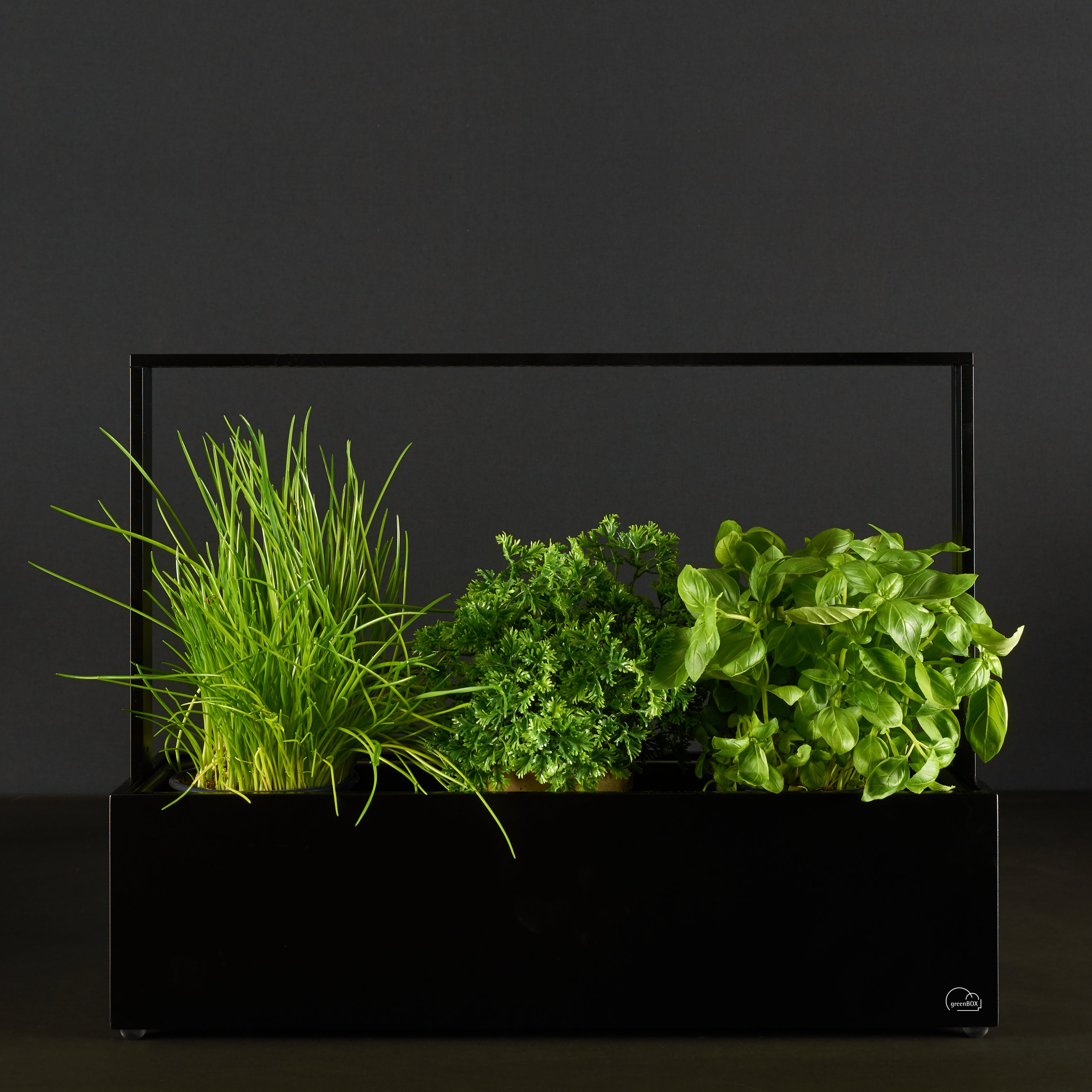 greenBOX II LED
