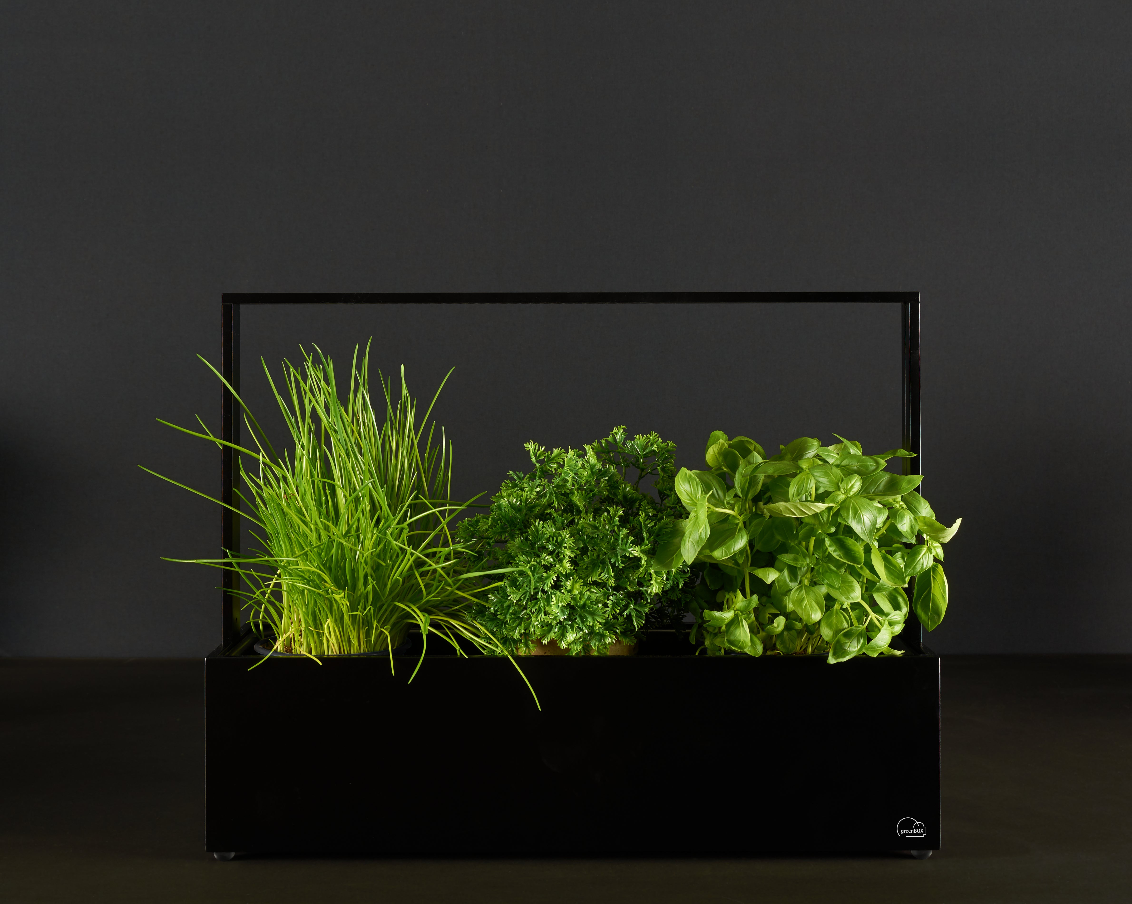 greenBOX II LED