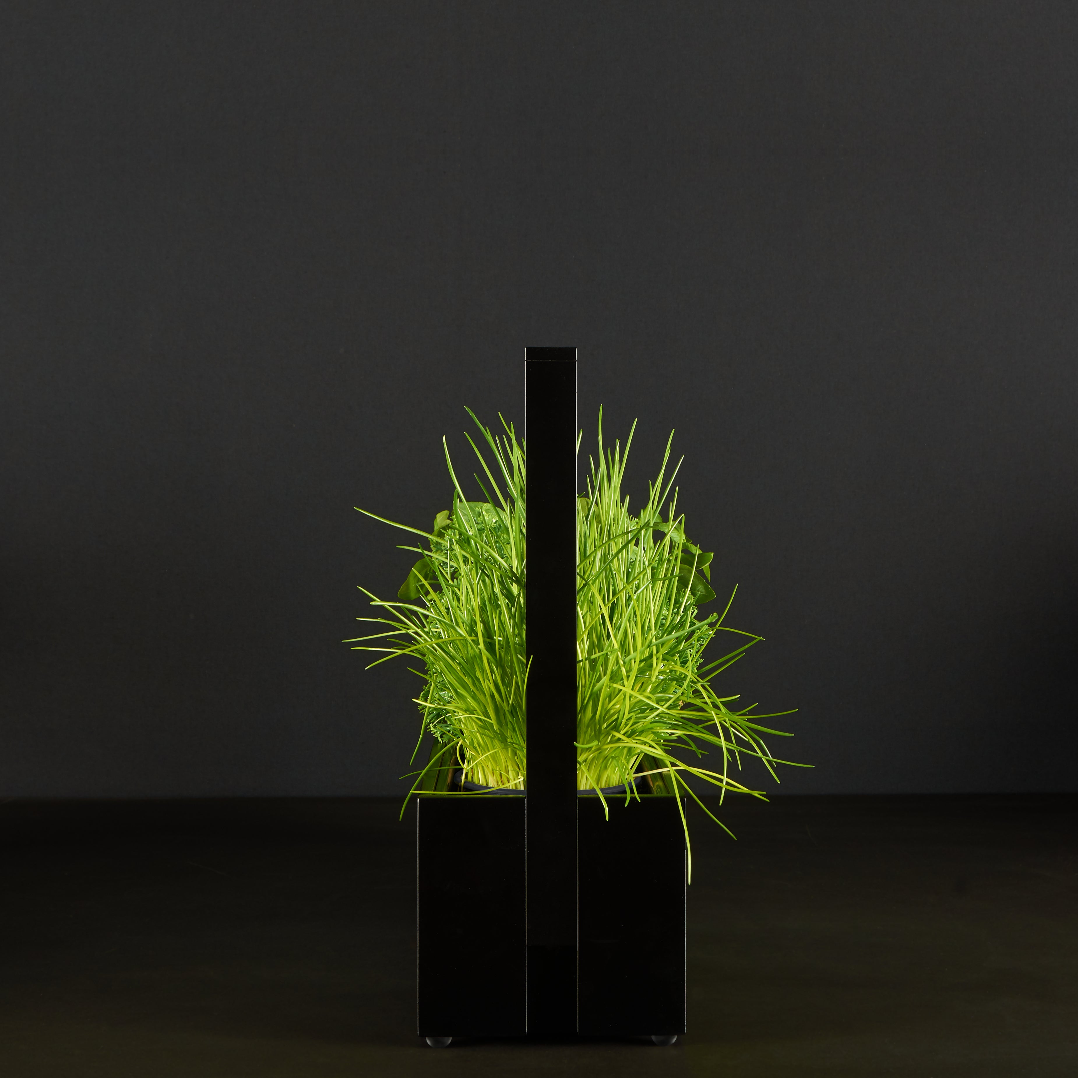 greenBOX II LED