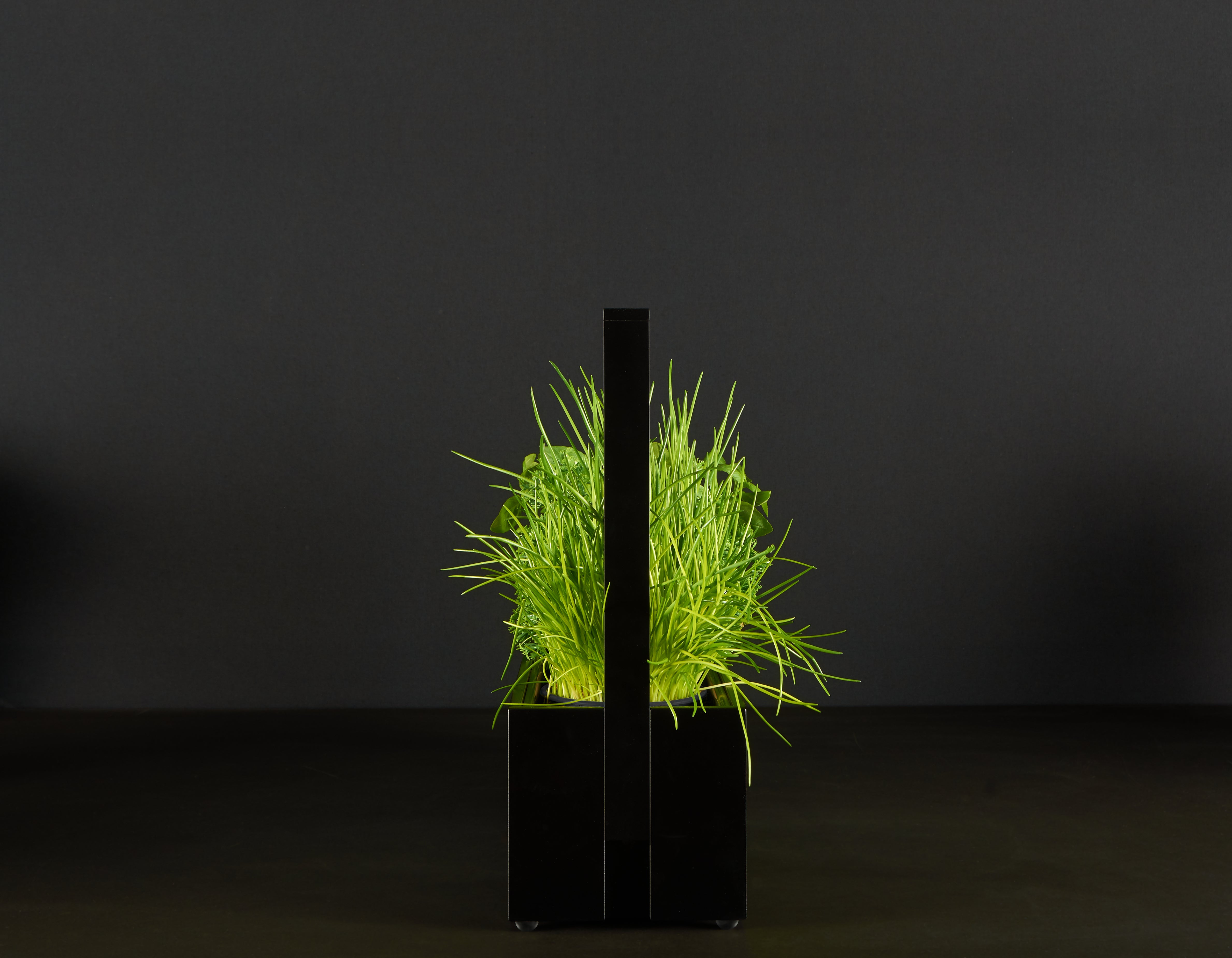 greenBOX II LED