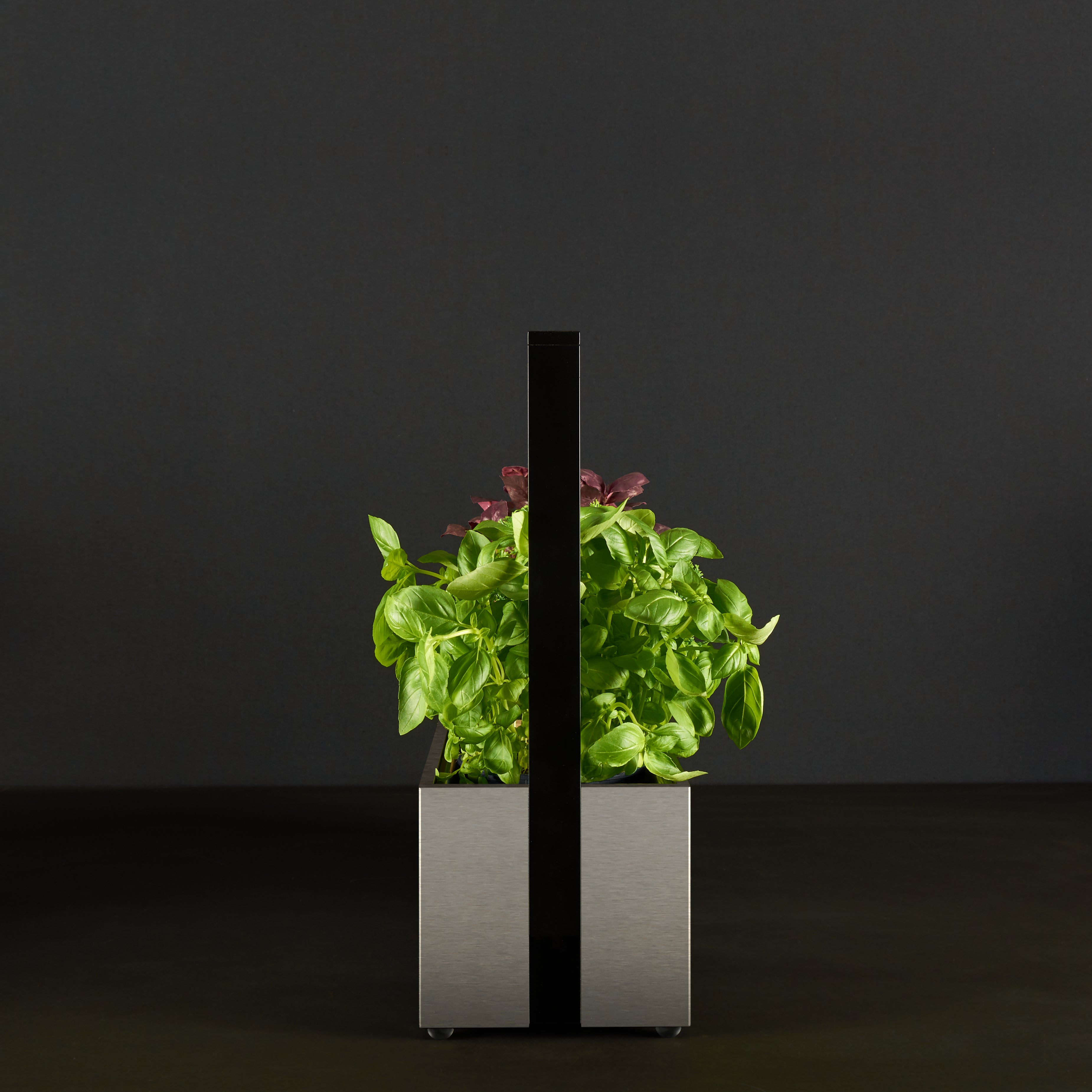 greenBOX II LED