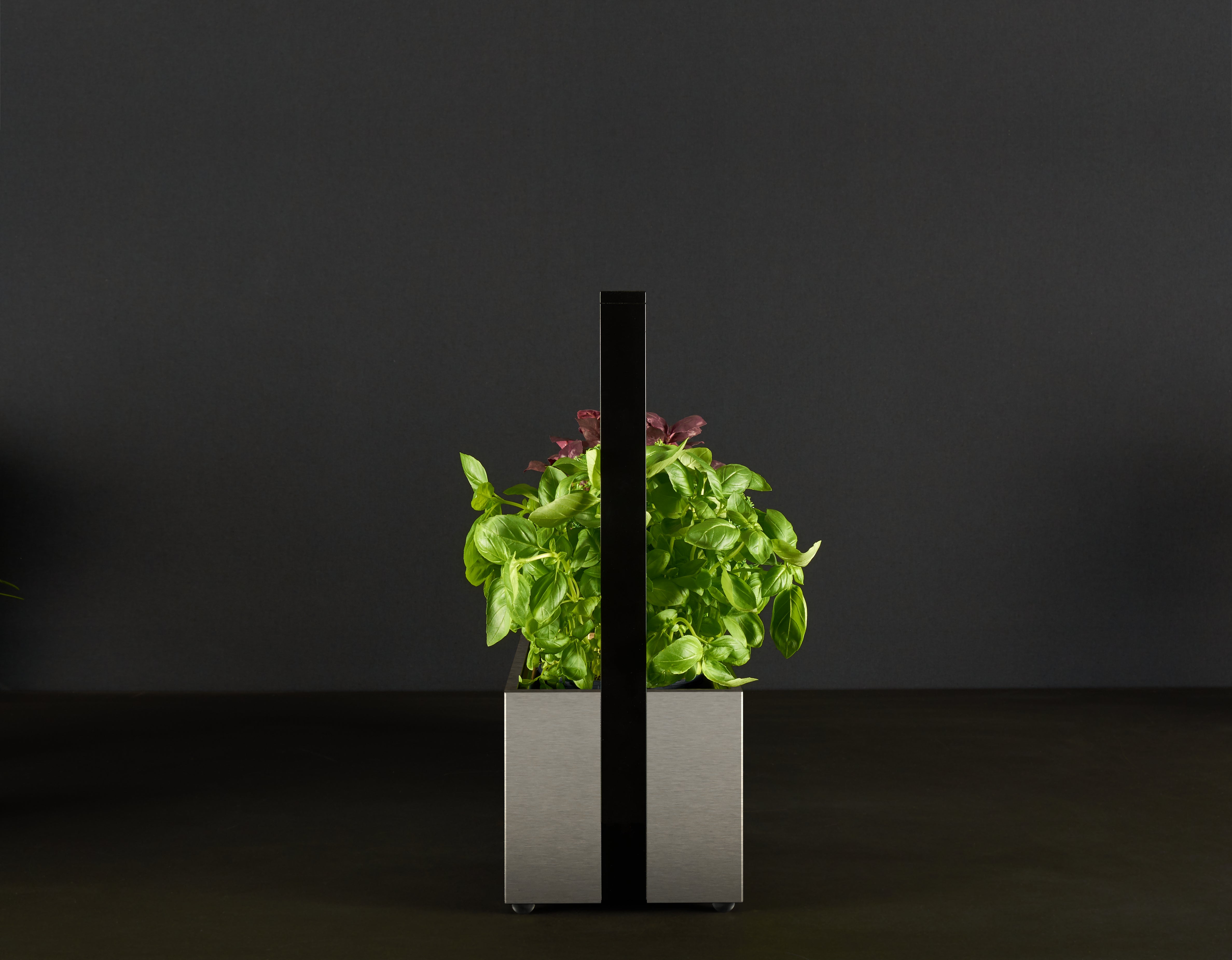 greenBOX II LED