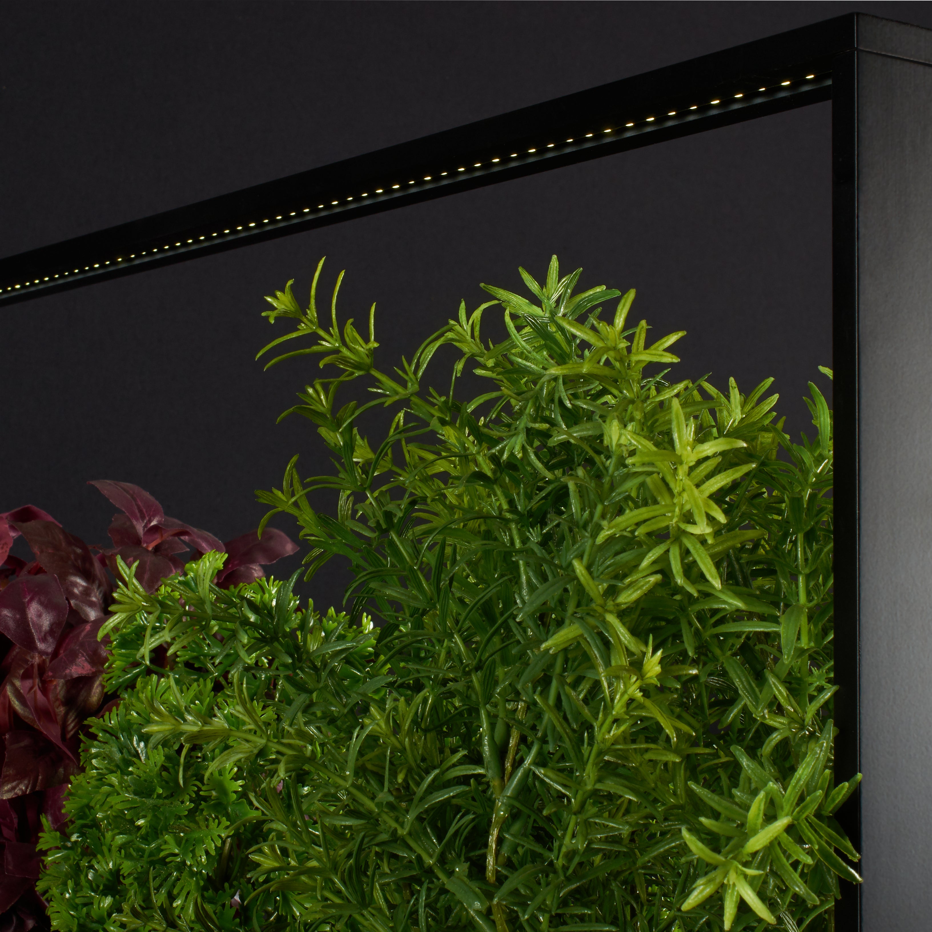 greenBOX II LED