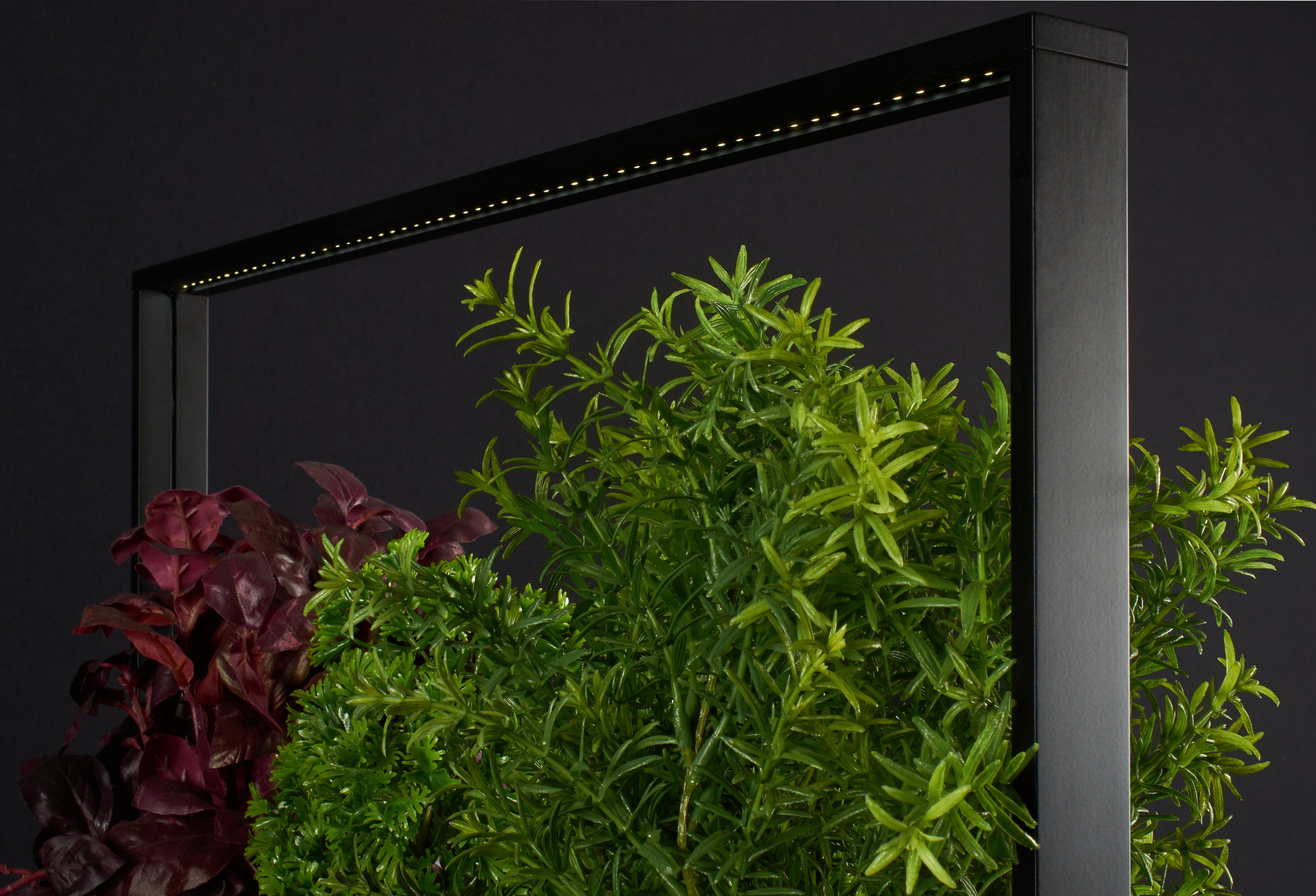 greenBOX II LED
