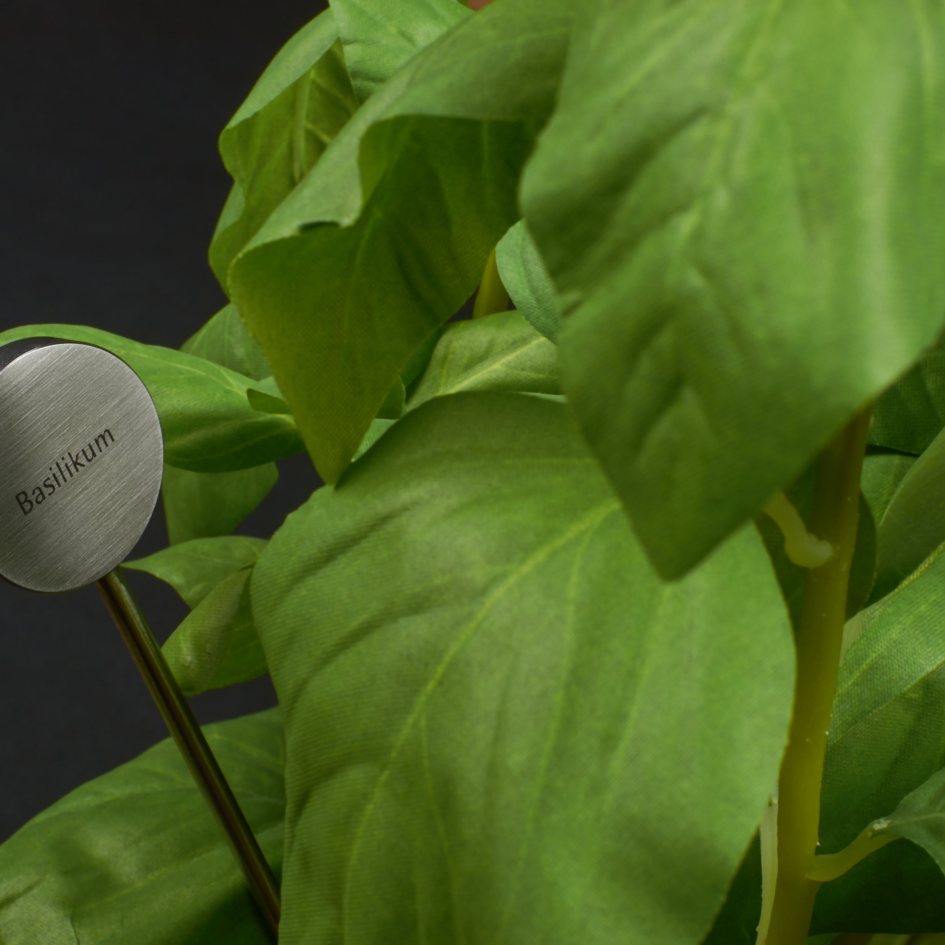 Identification plug