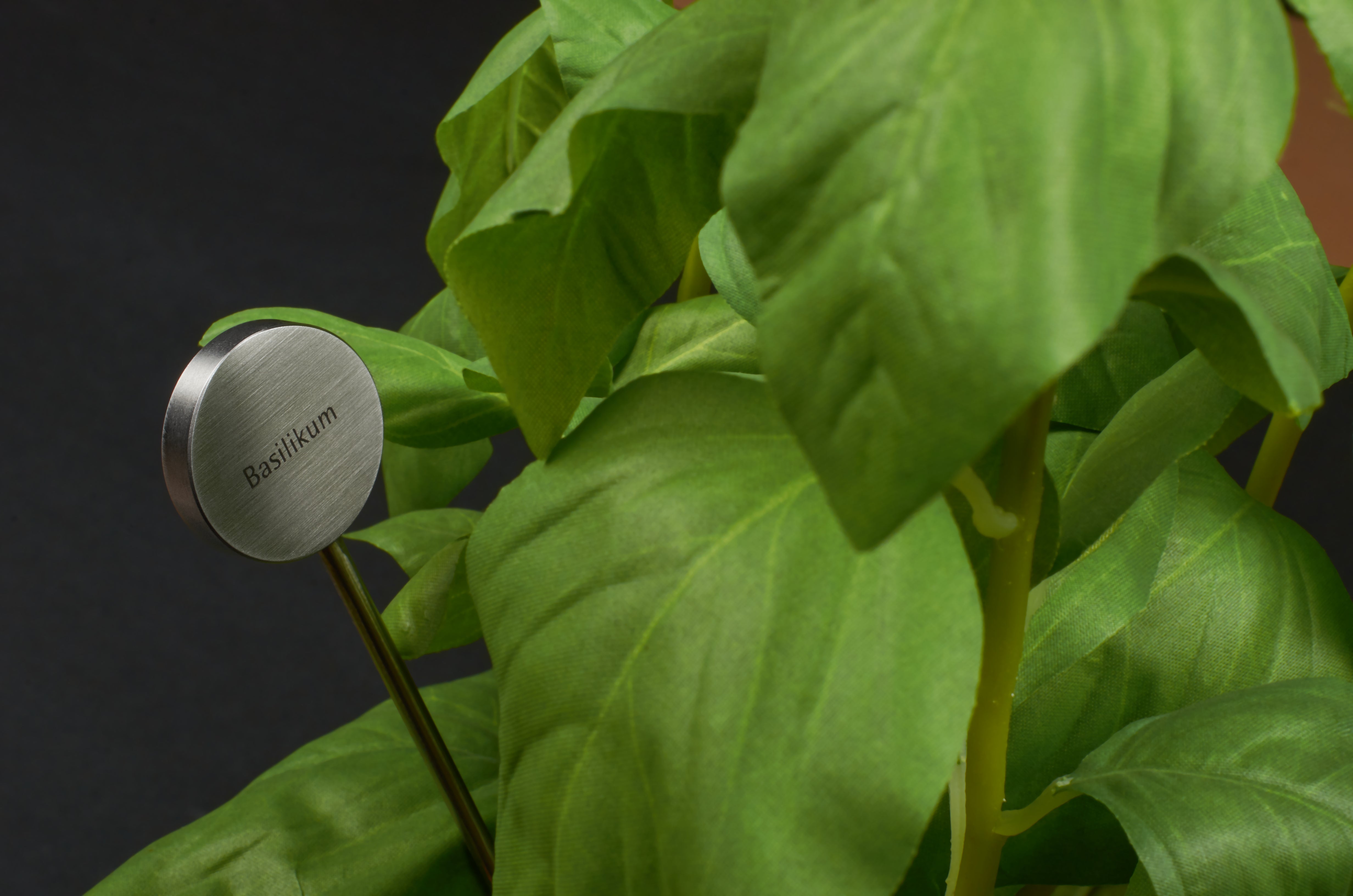 Identification plug