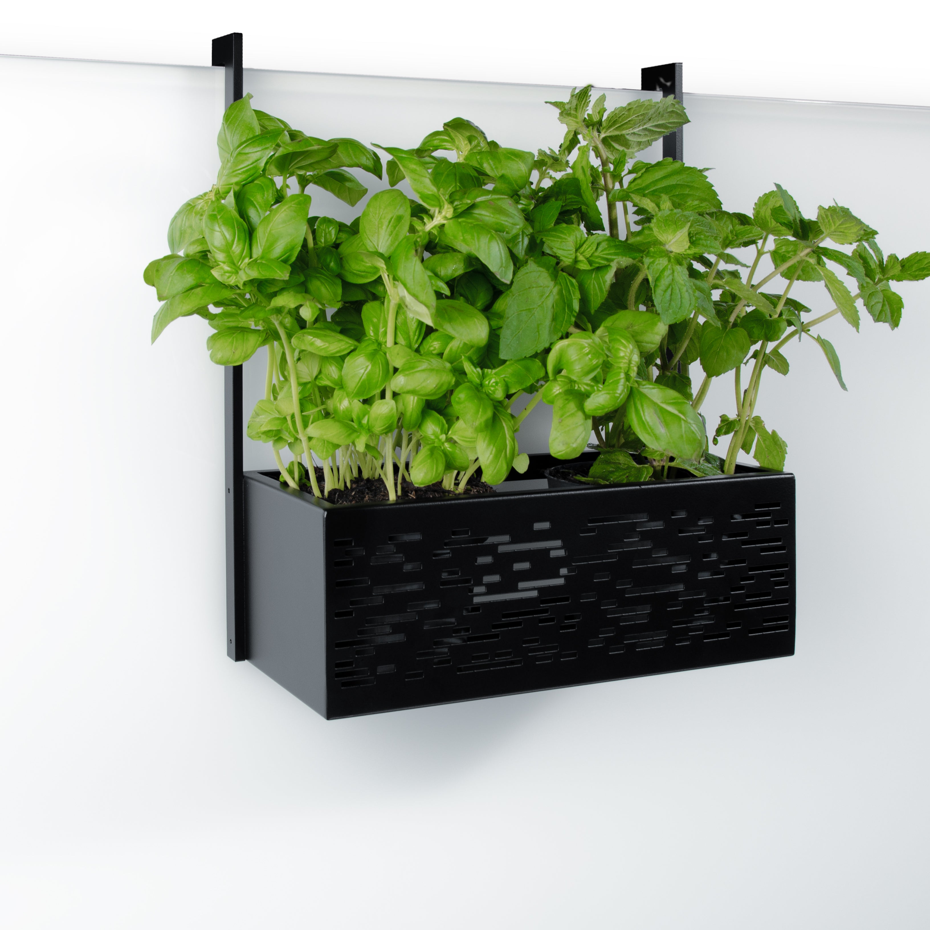 GREENBOX-B