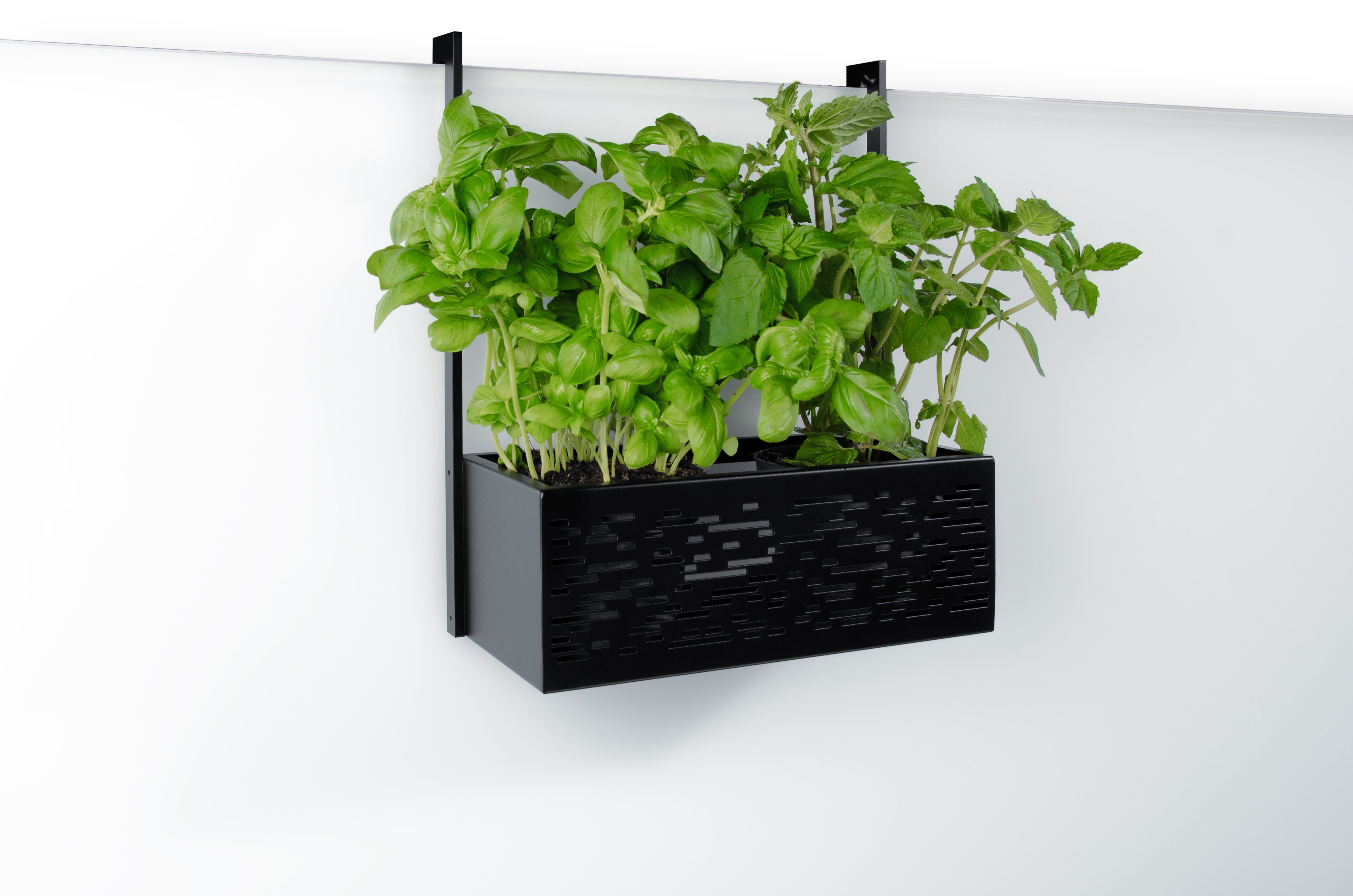 GREENBOX-B