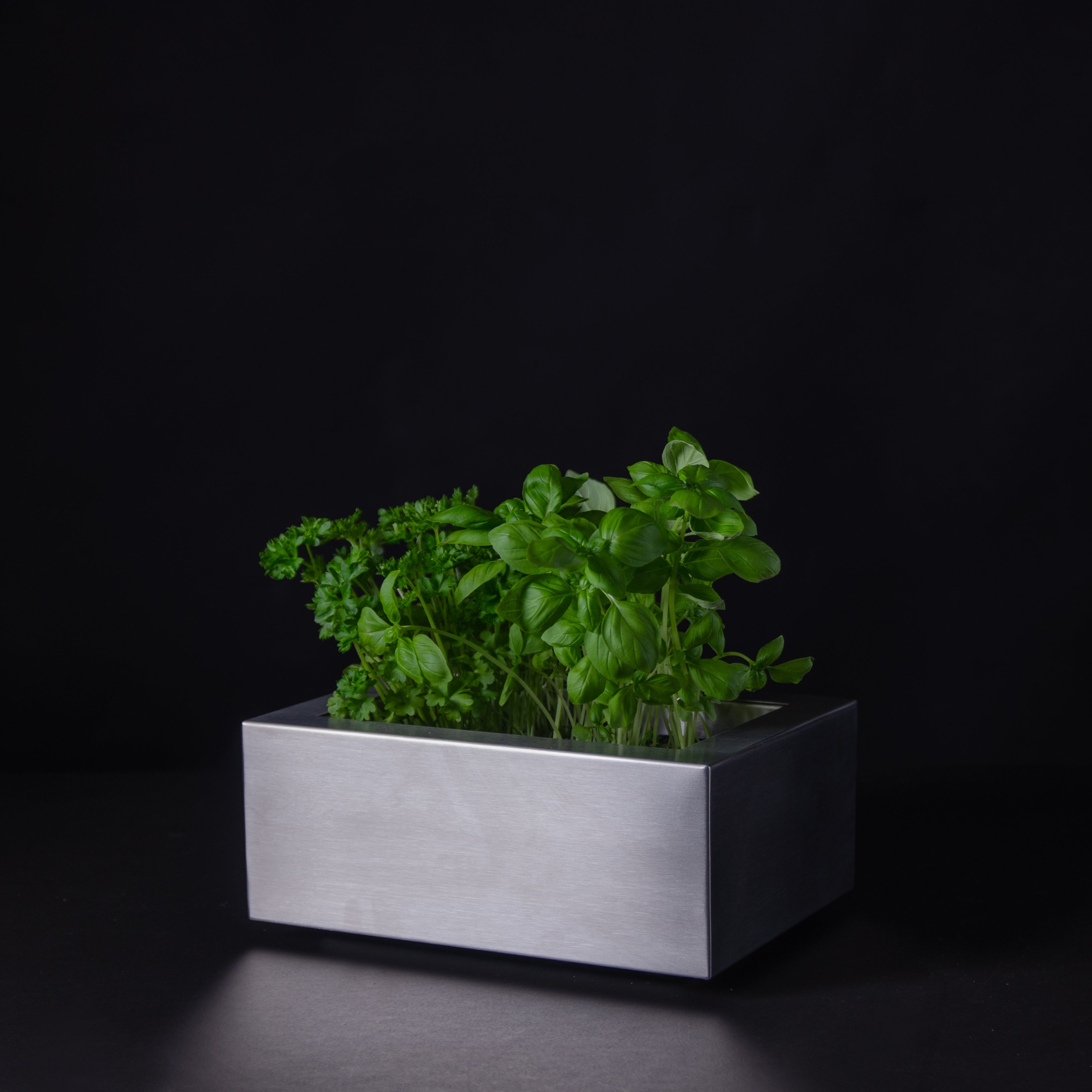 GREENBOX I