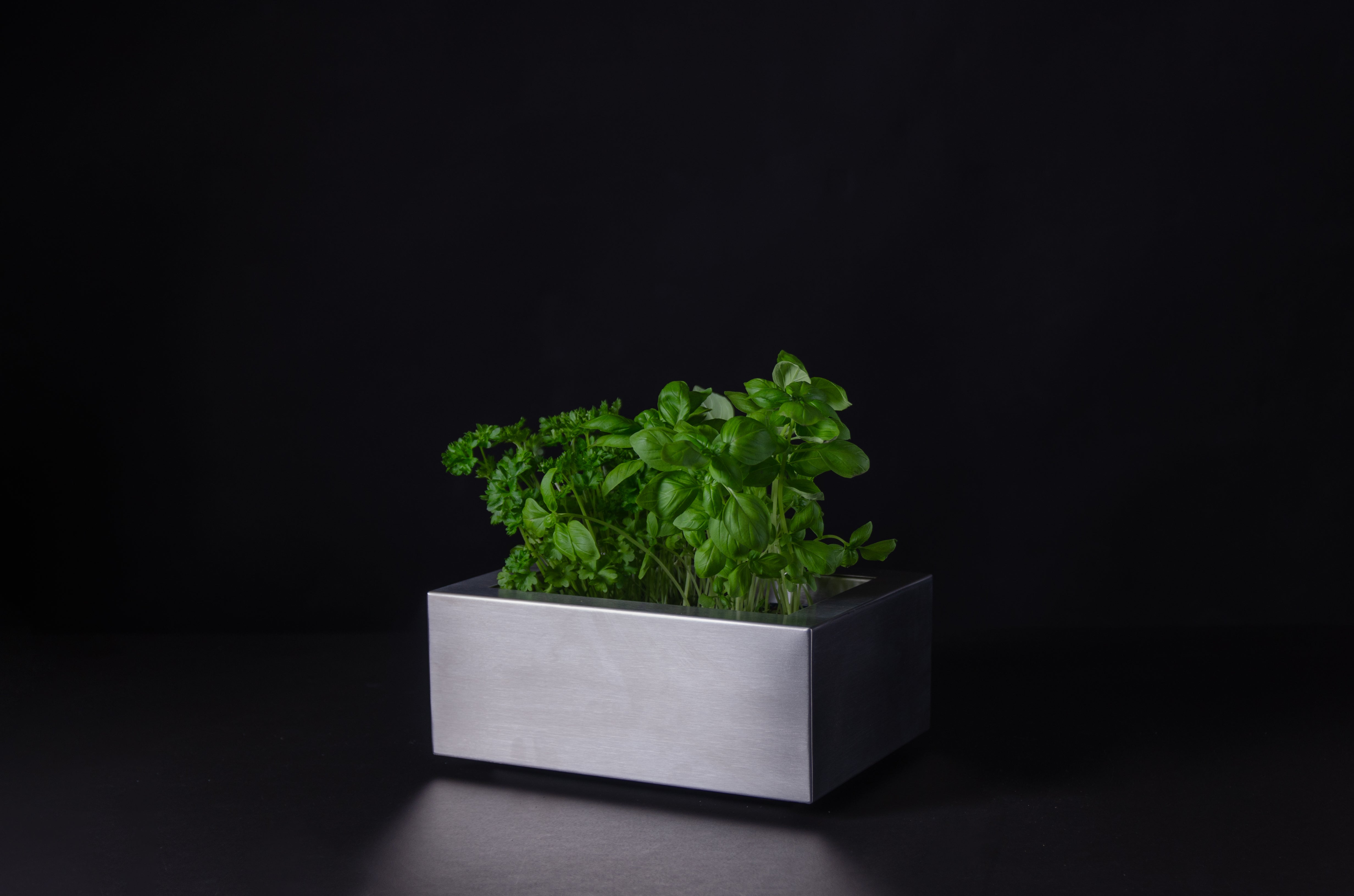 GREENBOX I