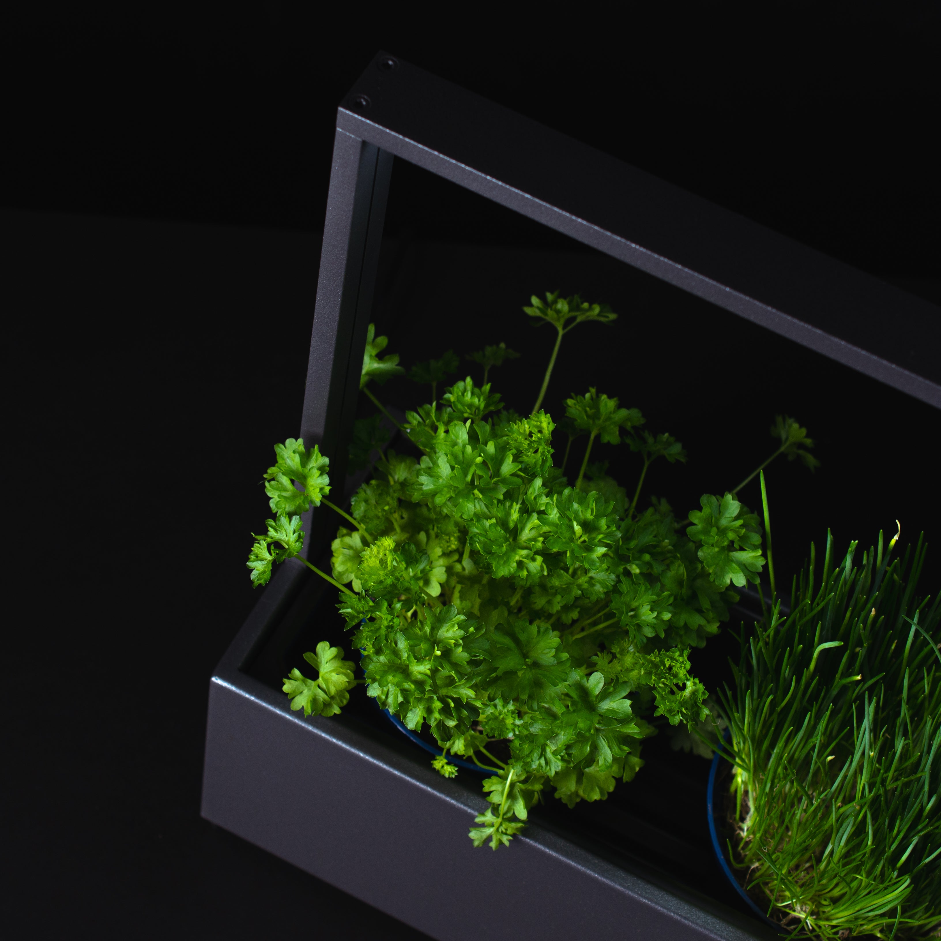 greenBOX II / ST / AL