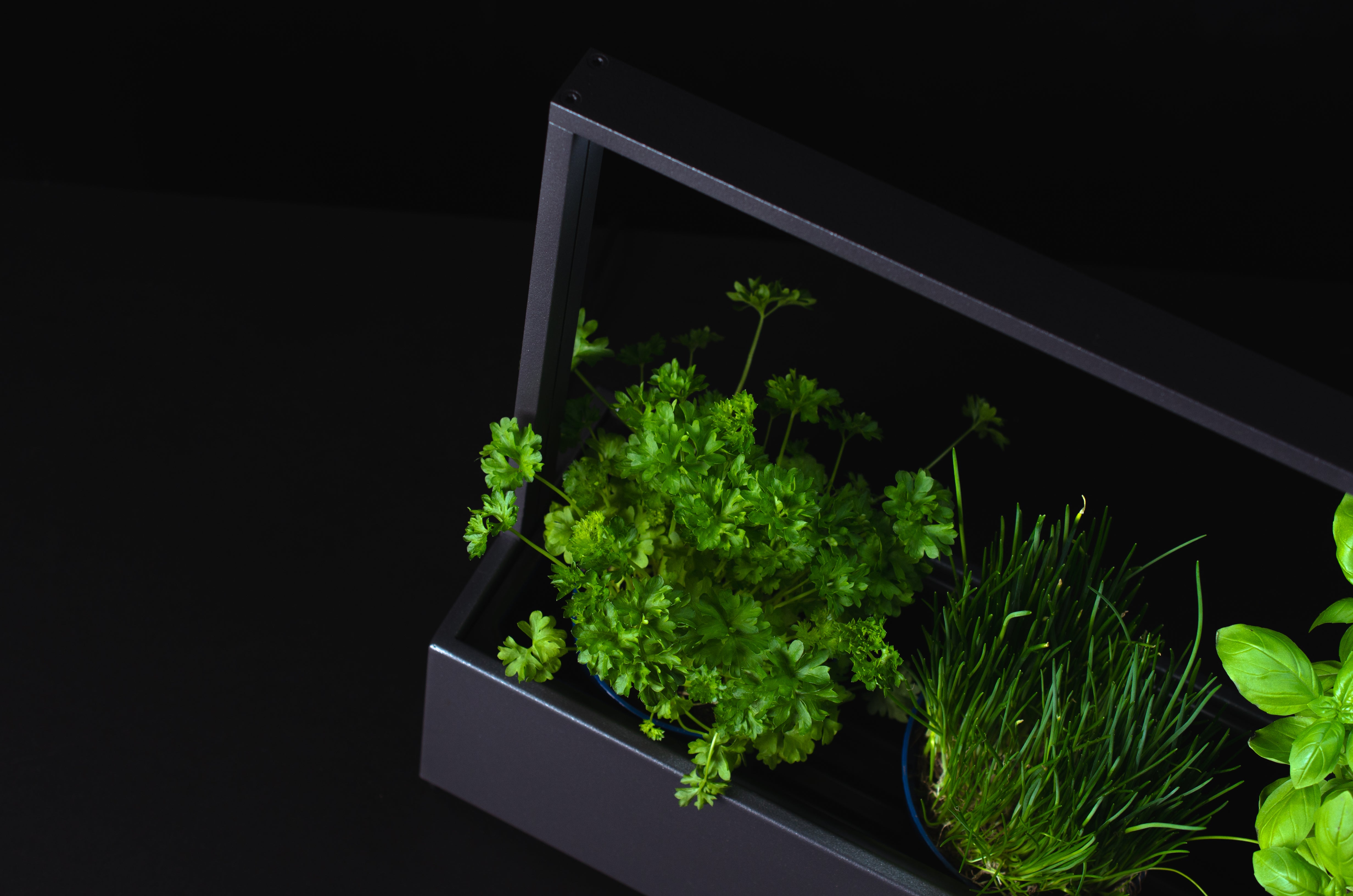 greenBOX II / ST / AL