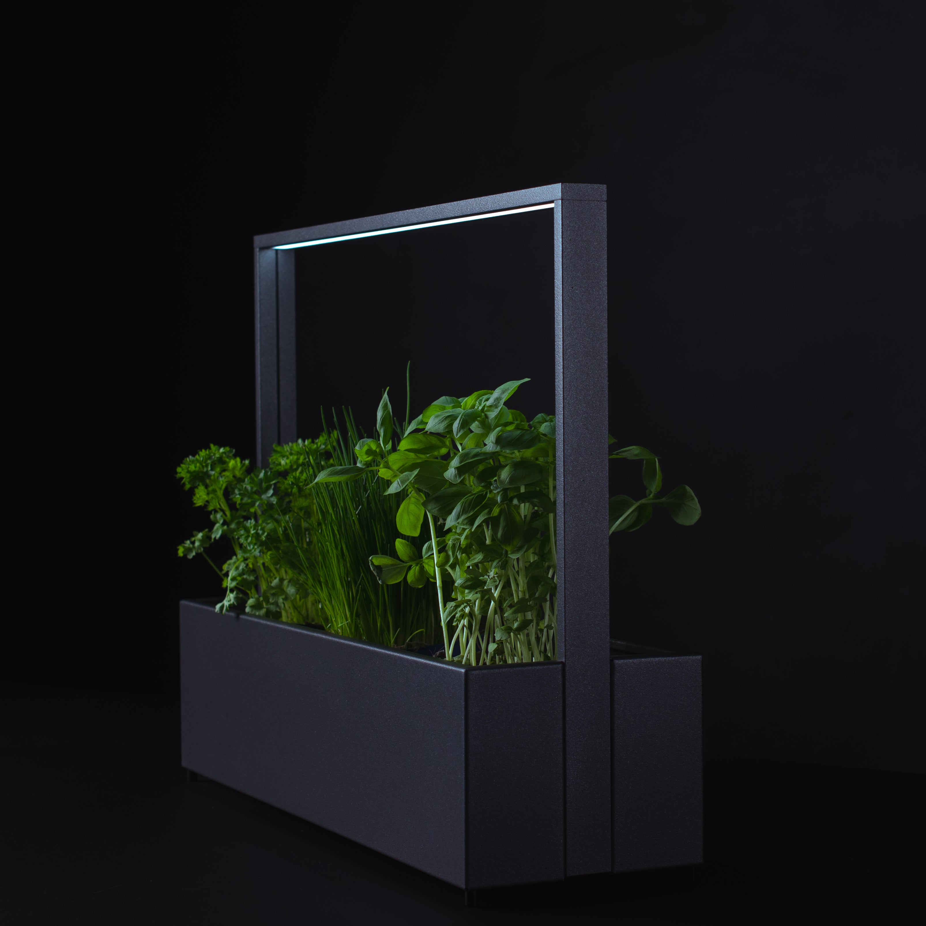 greenBOX II / ST / AL