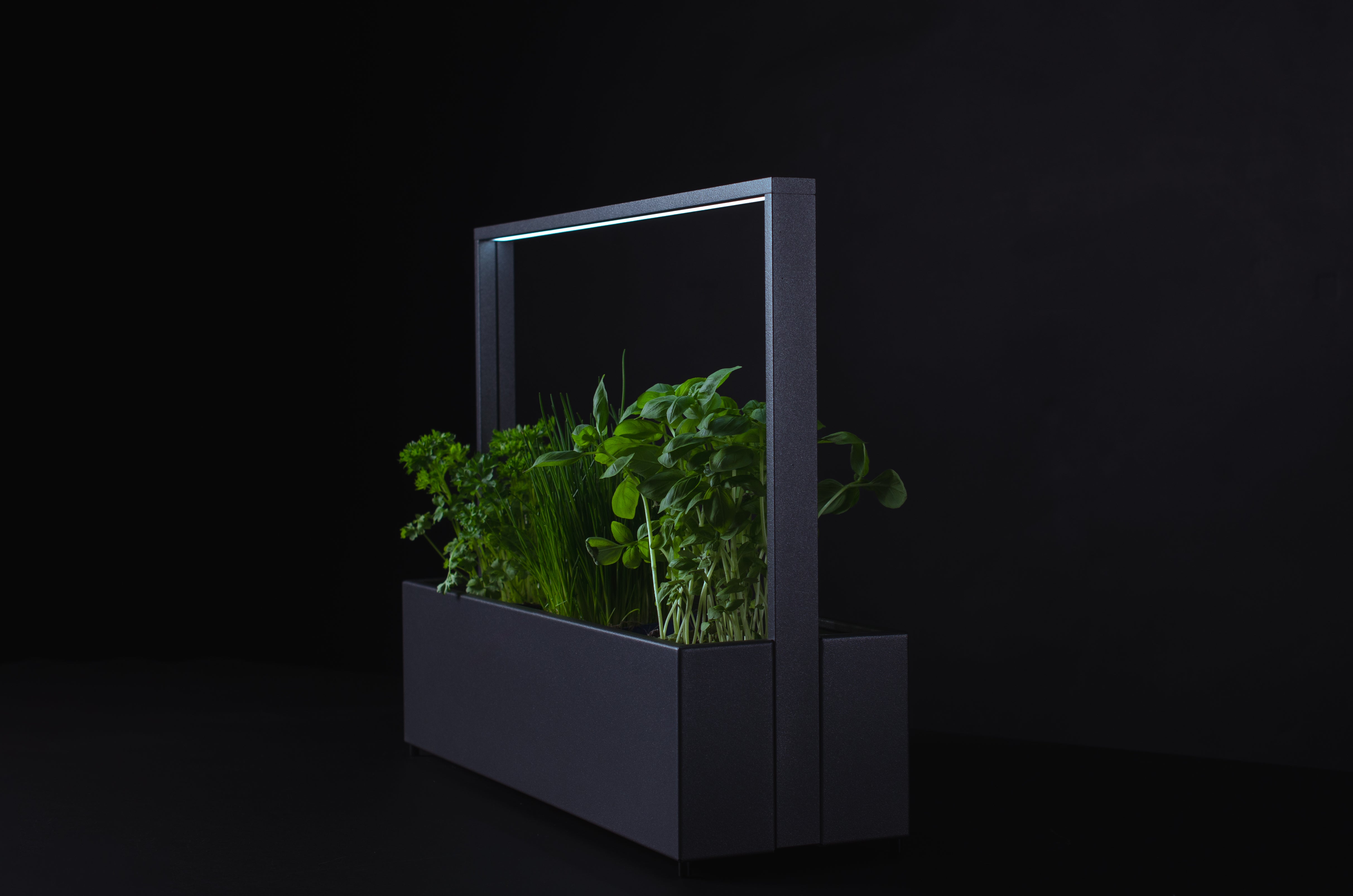 greenBOX II / ST / AL