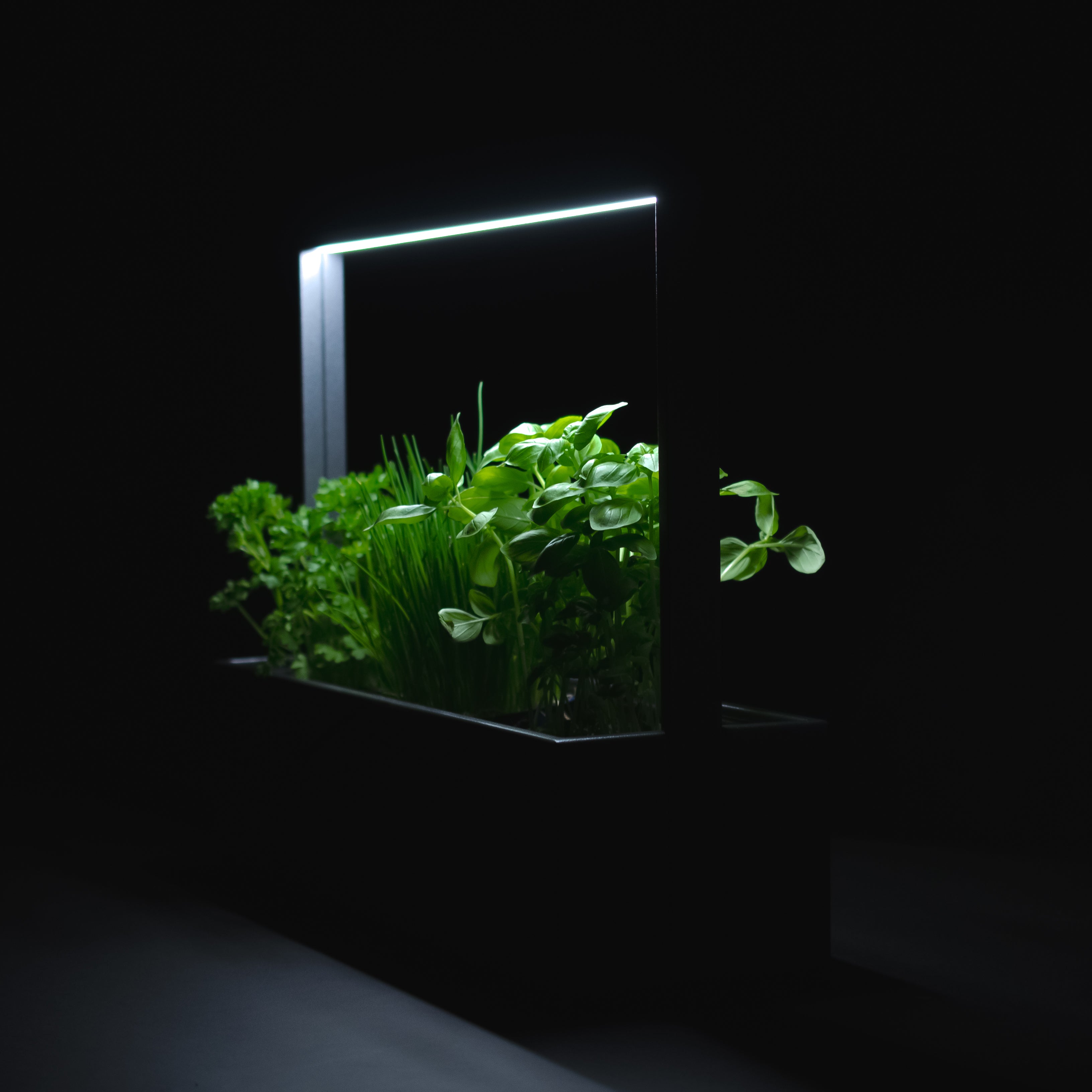 greenBOX II / ST / AL