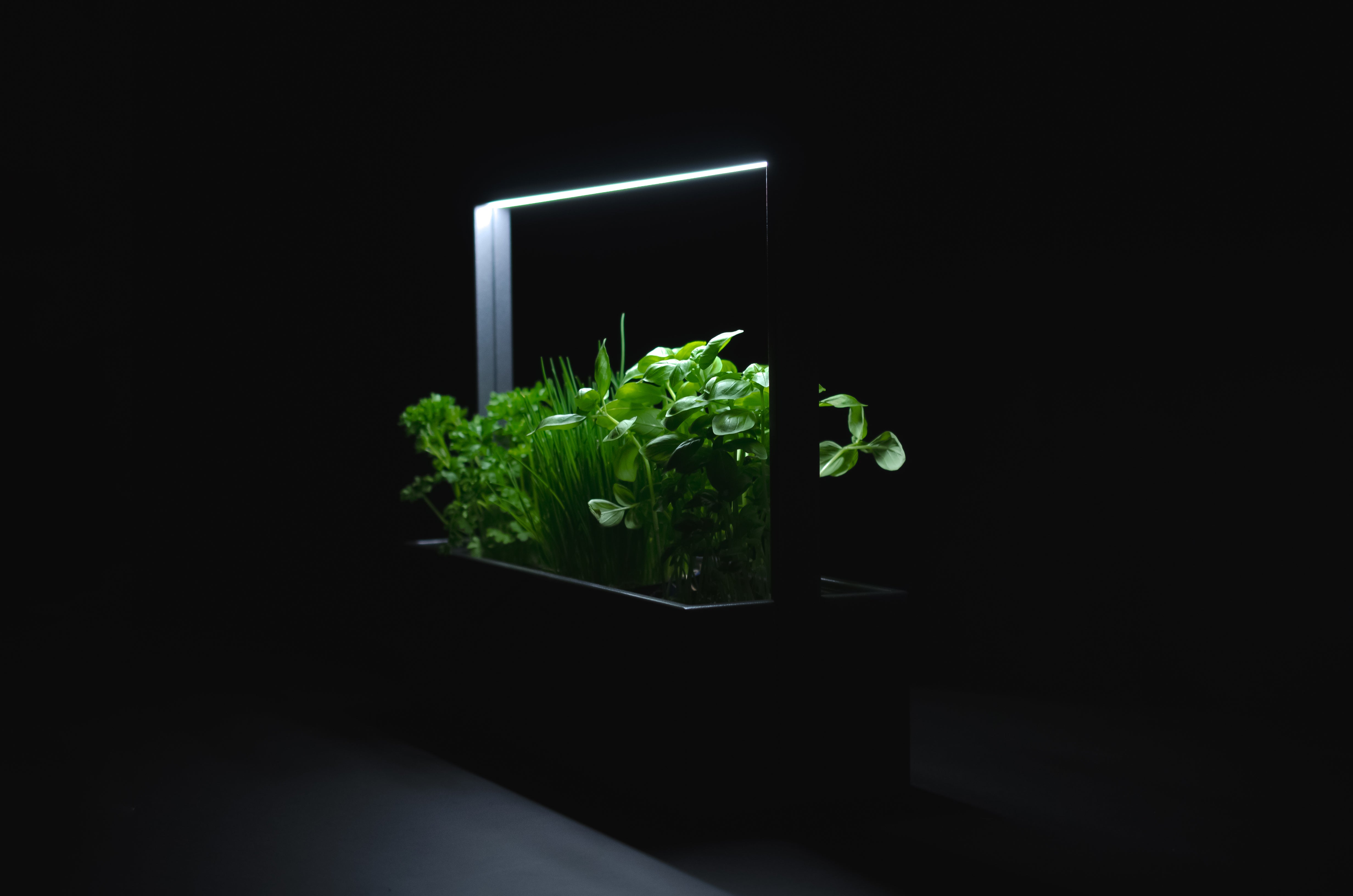 greenBOX II / ST / AL
