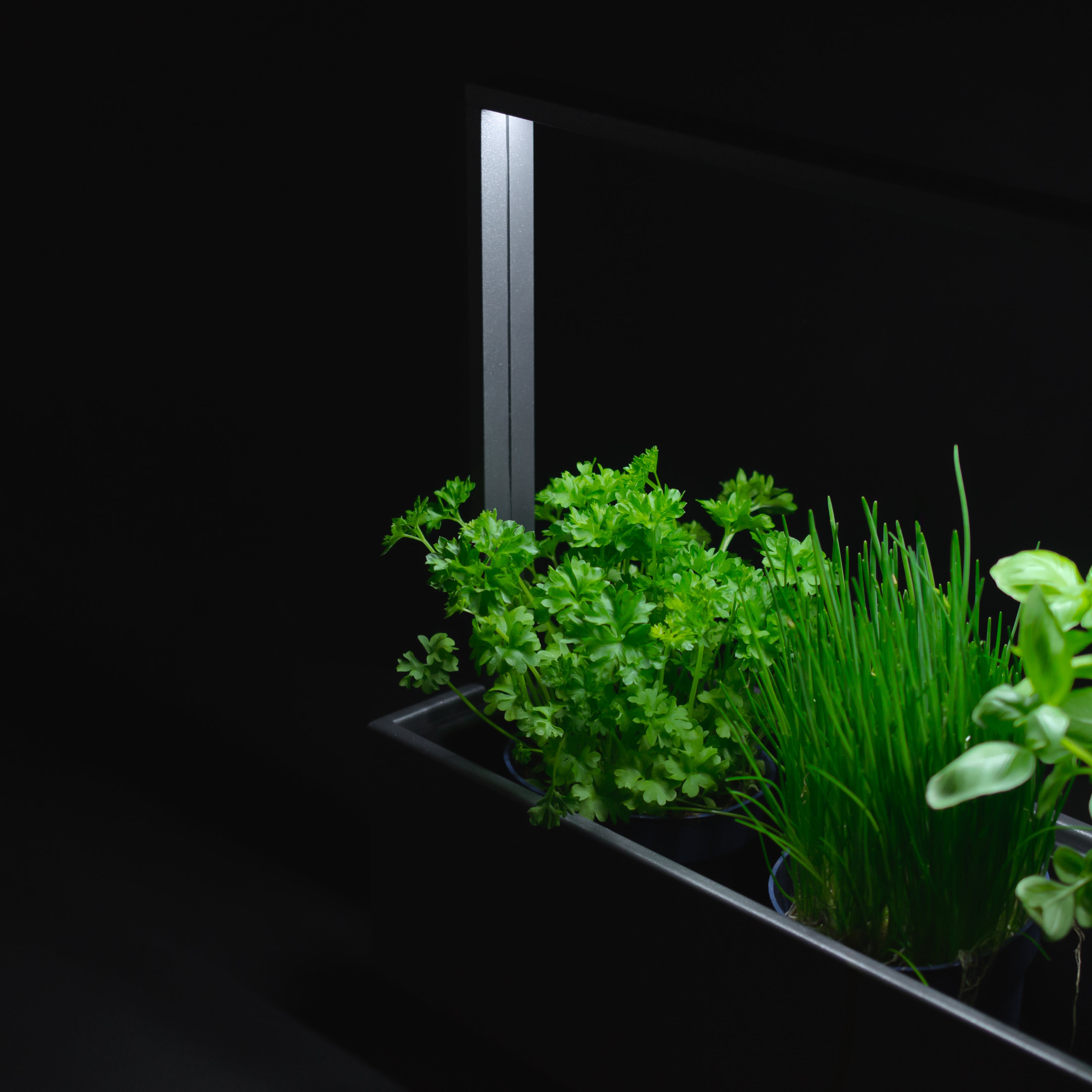 greenBOX II / ST / AL