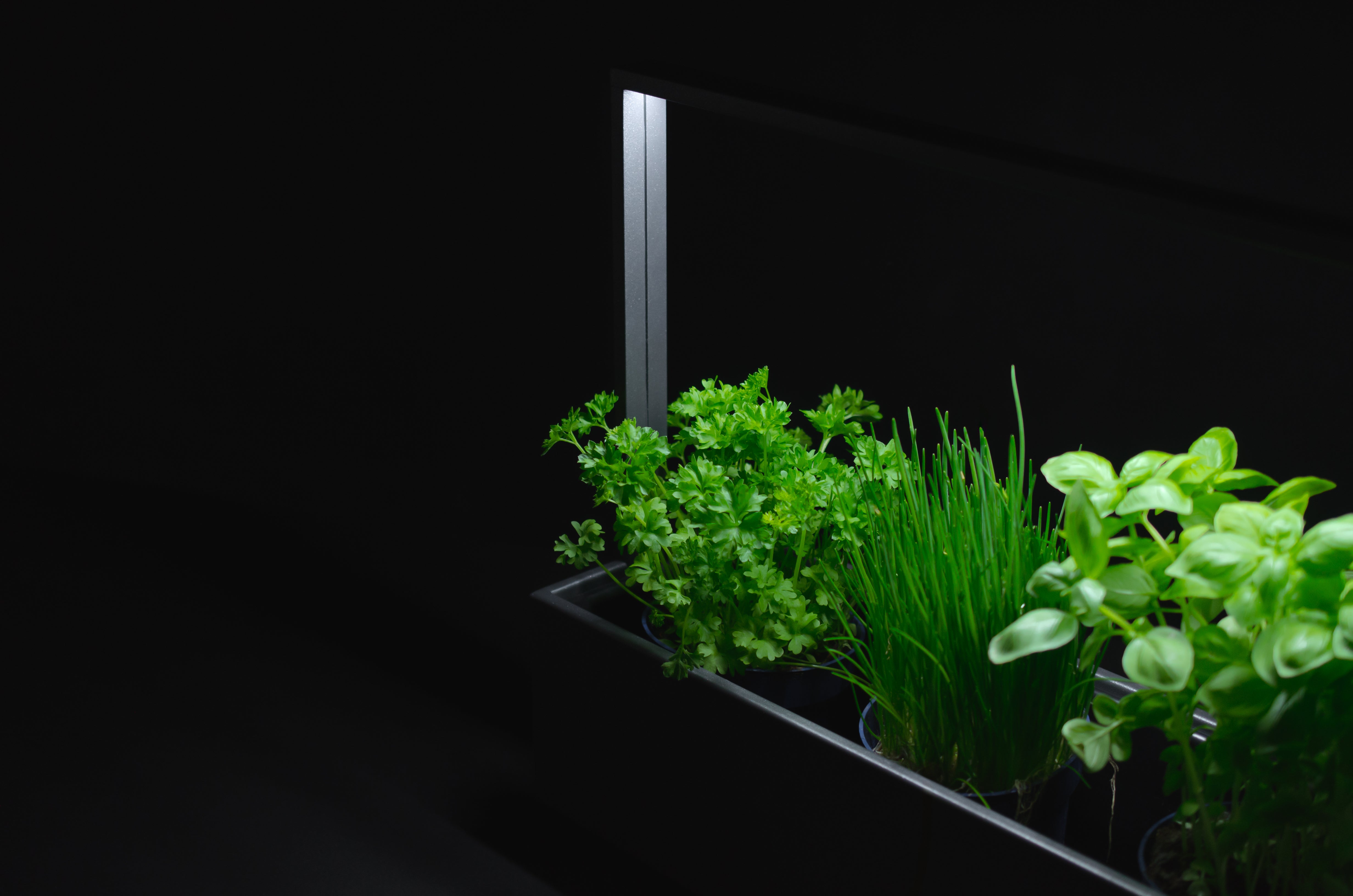 greenBOX II / ST / AL