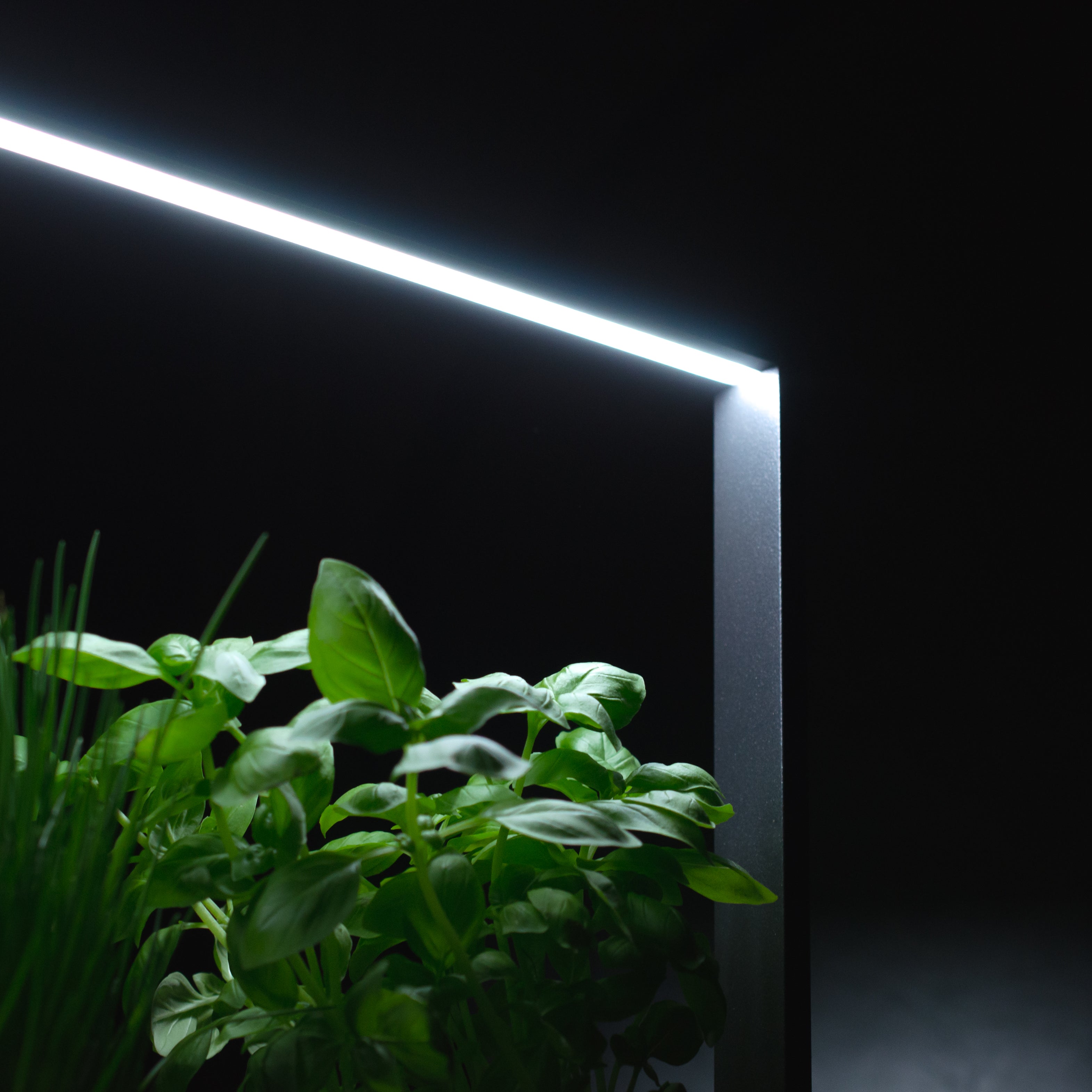 greenBOX II / ST / AL