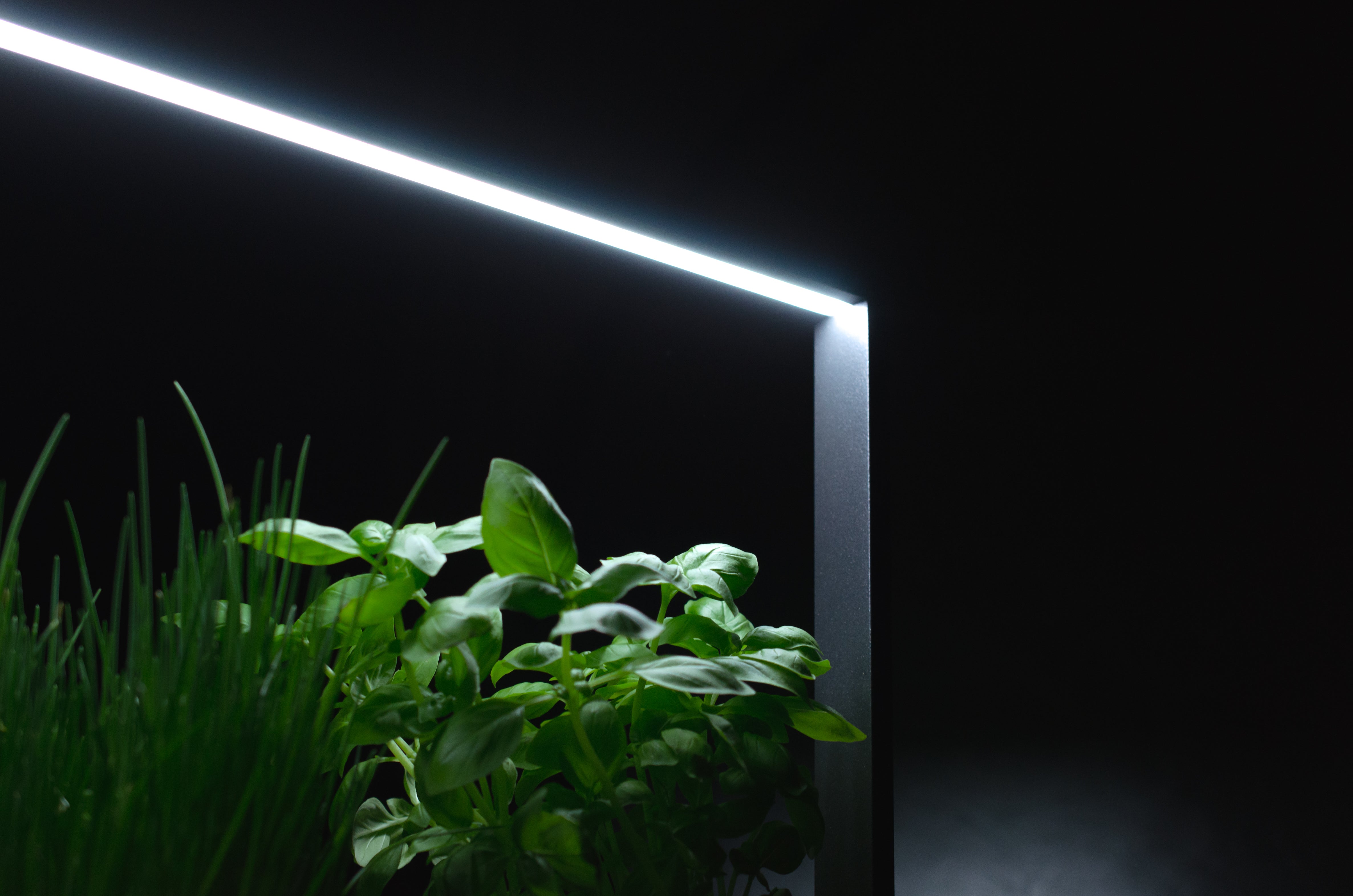 greenBOX II / ST / AL