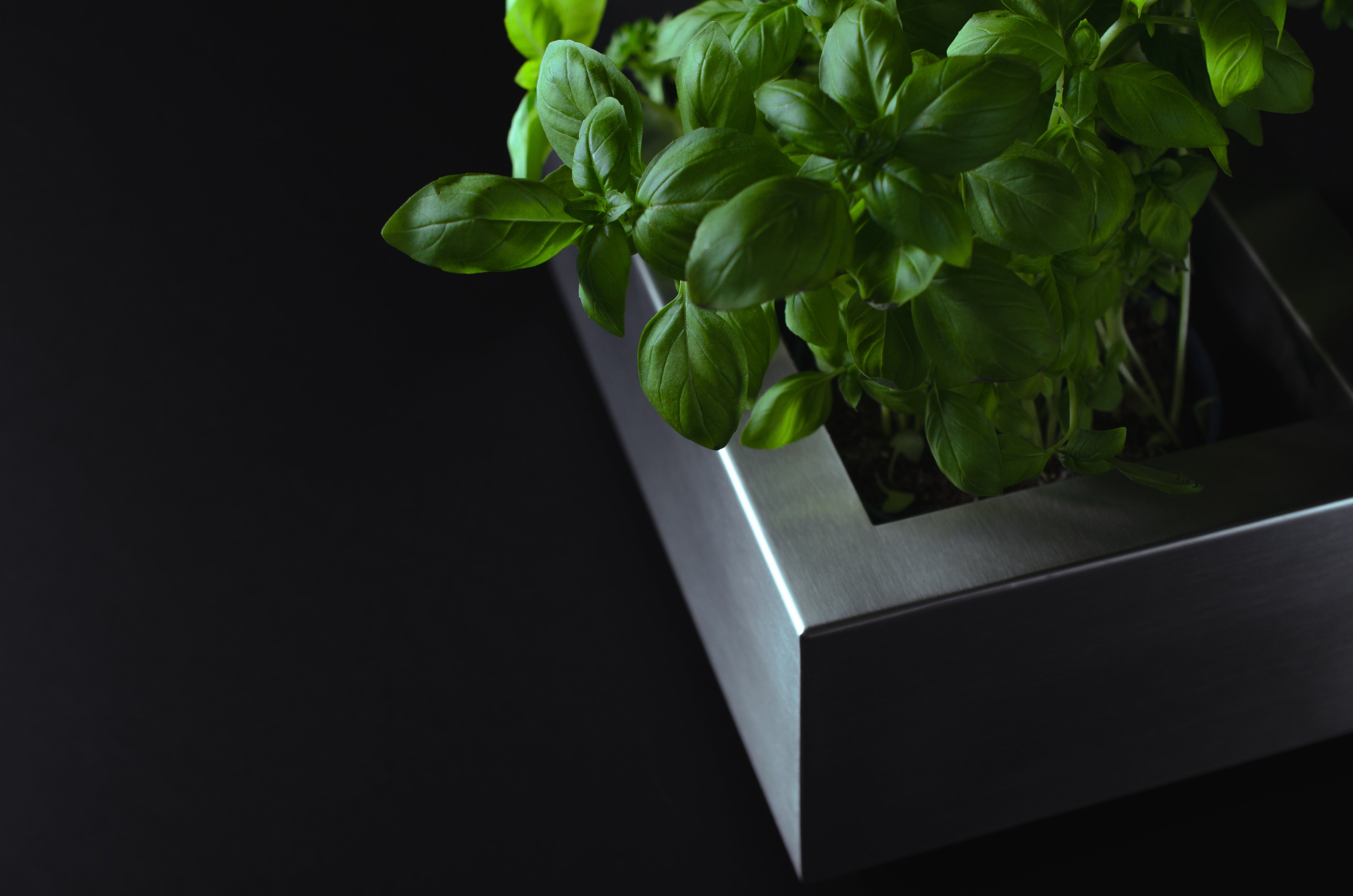 GREENBOX I