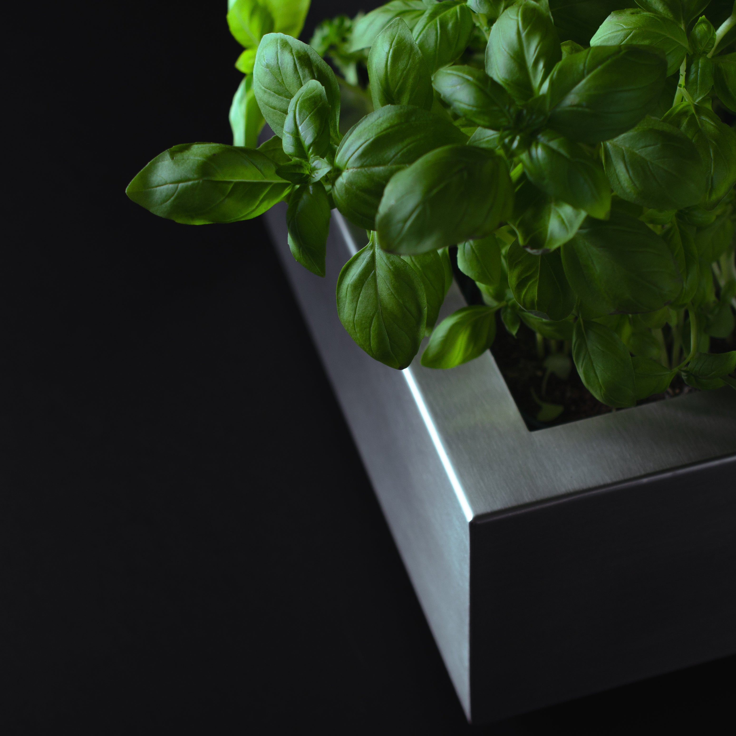 greenBOX 3 / VA