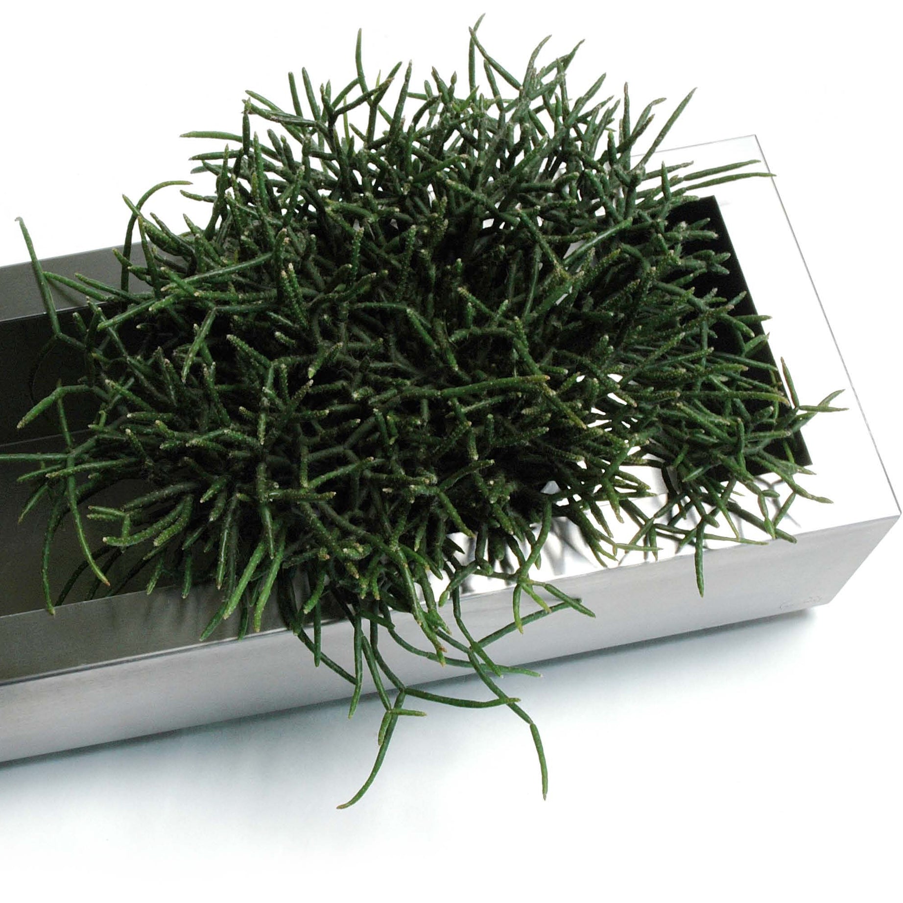 GREENBOX I