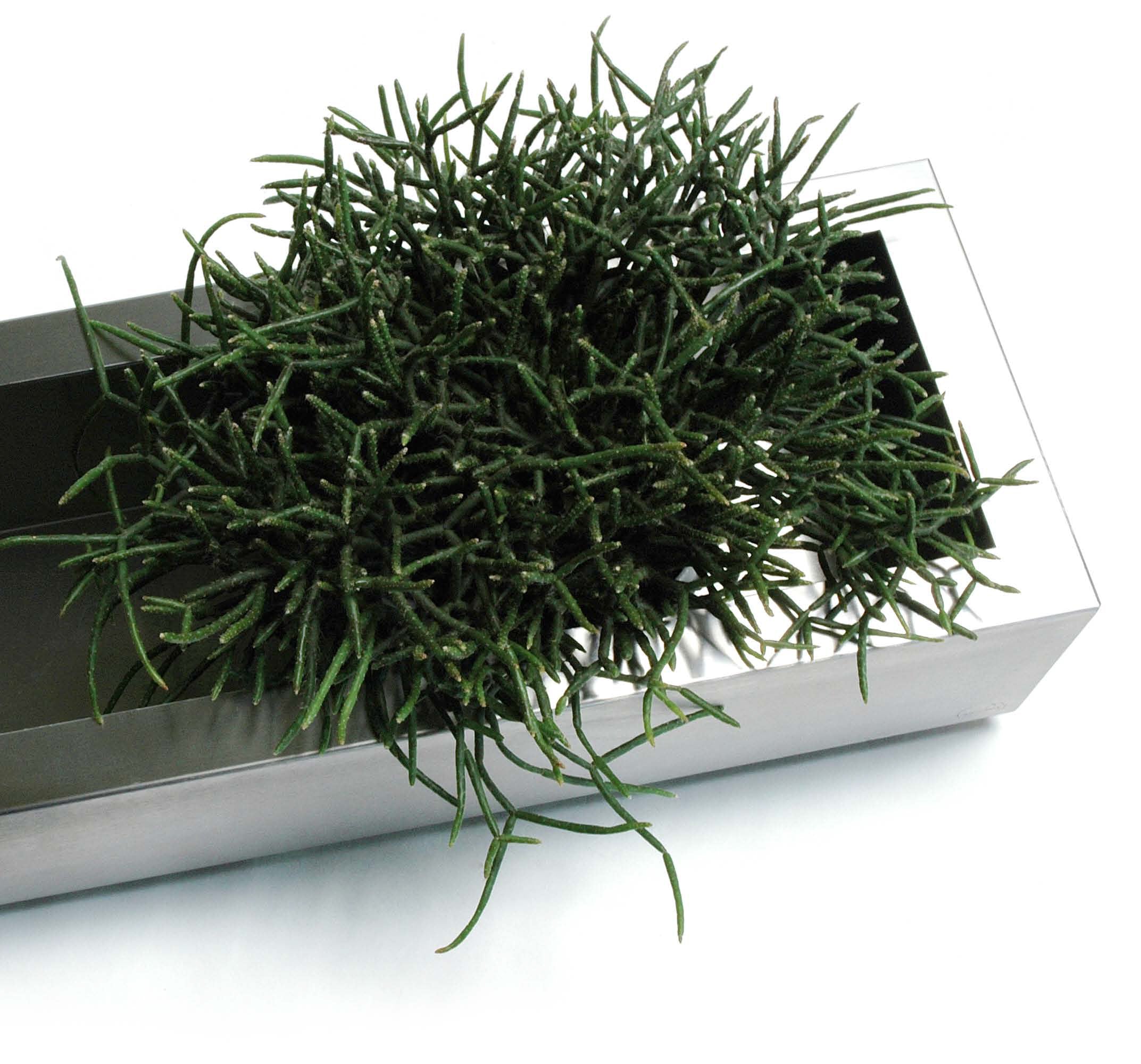 greenBOX 3 / VA