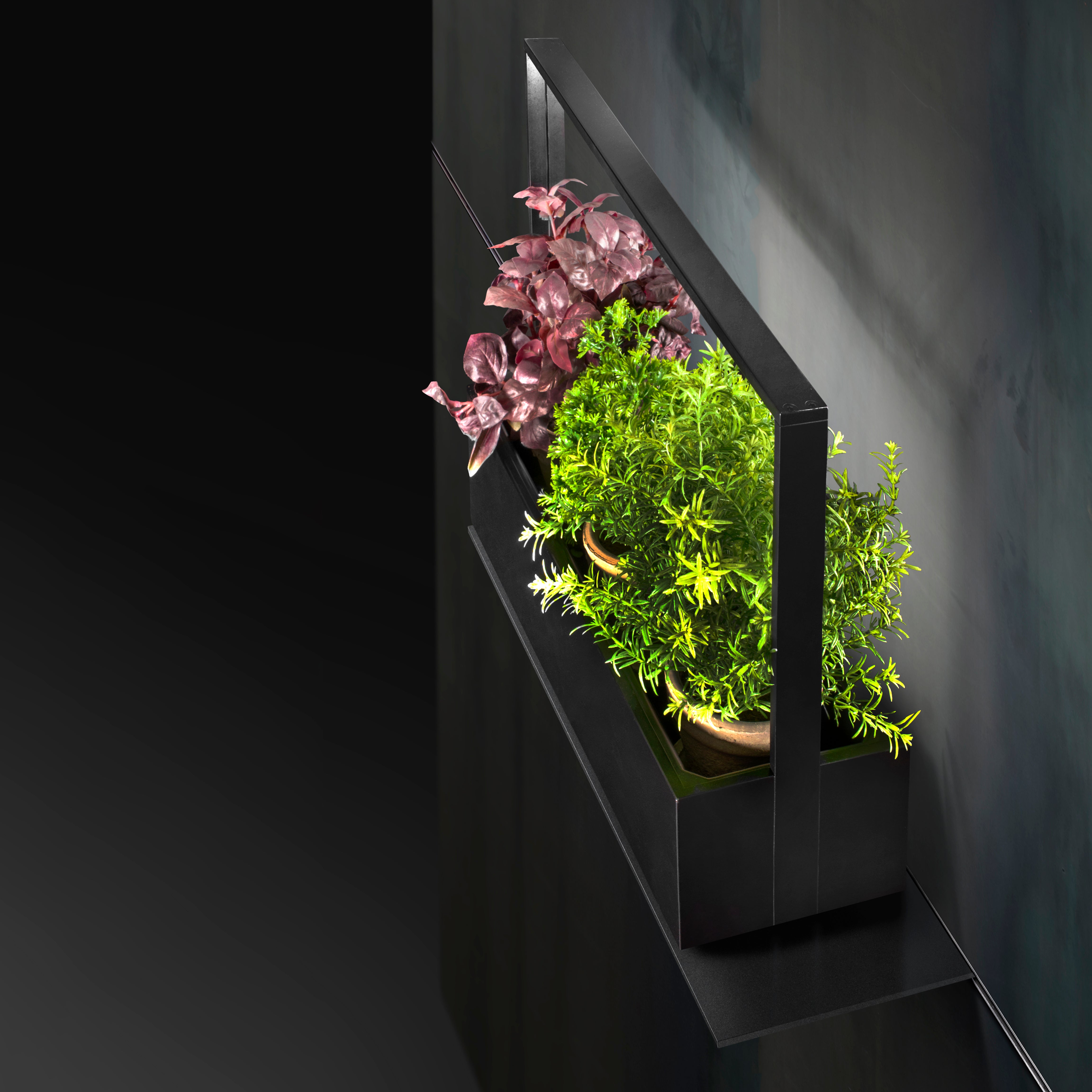 greenBOX II LED